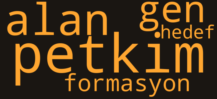 PETKM kelime bulutu