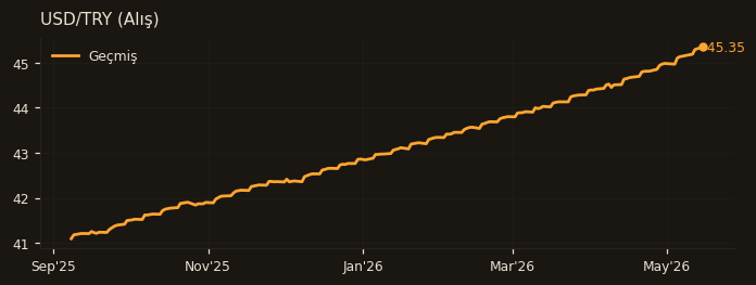 USD/TRY (Alış)