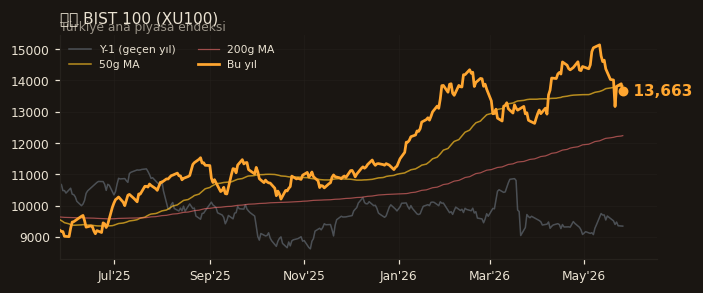 🇹🇷 BIST 100 (XU100)