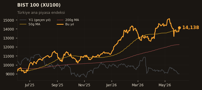 🇹🇷 BIST 100 (XU100)