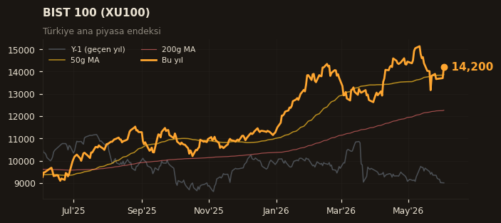 🇹🇷 BIST 100 (XU100)