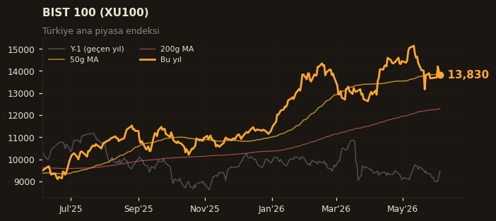 🇹🇷 BIST 100 (XU100)