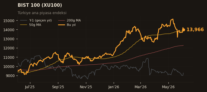 🇹🇷 BIST 100 (XU100)
