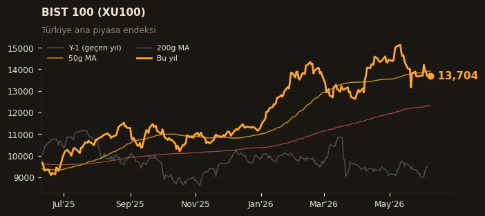 🇹🇷 BIST 100 (XU100)