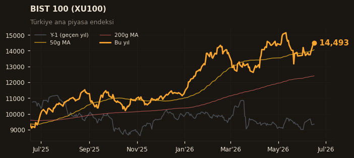 🇹🇷 BIST 100 (XU100)