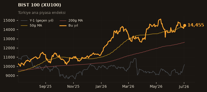 🇹🇷 BIST 100 (XU100)