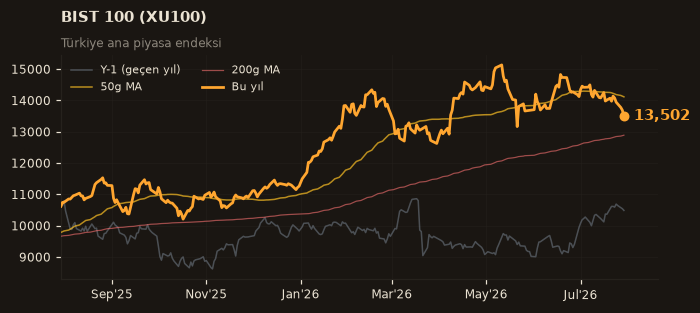 🇹🇷 BIST 100 (XU100)