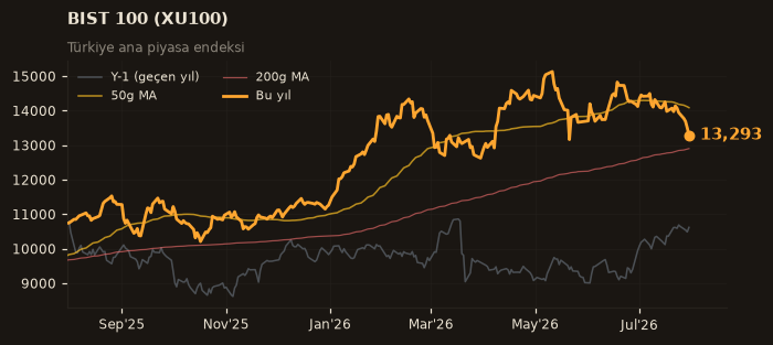 🇹🇷 BIST 100 (XU100)