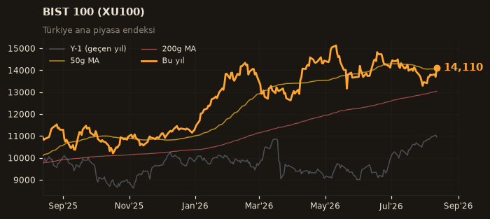 🇹🇷 BIST 100 (XU100)