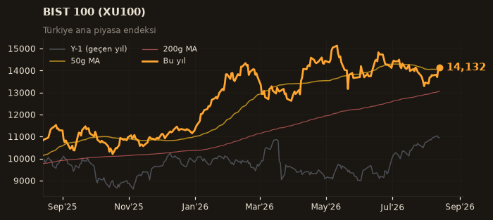 🇹🇷 BIST 100 (XU100)