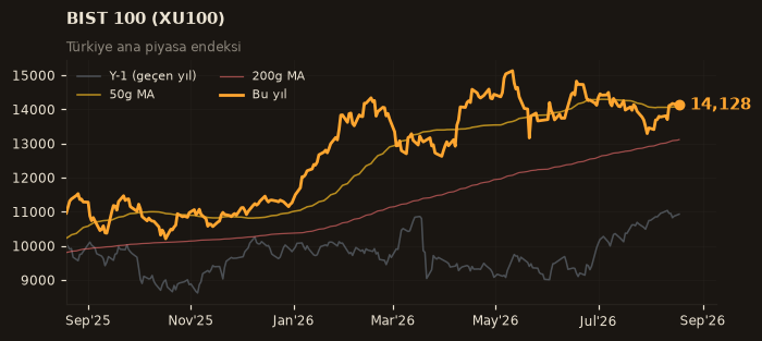 🇹🇷 BIST 100 (XU100)