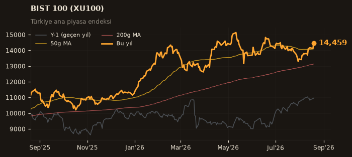🇹🇷 BIST 100 (XU100)