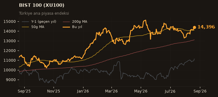 🇹🇷 BIST 100 (XU100)