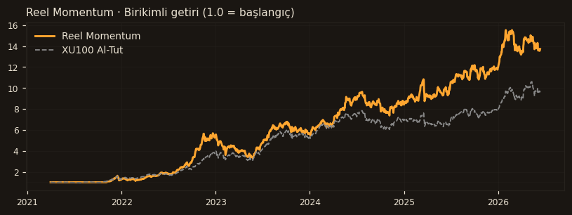 Reel Momentum equity curve